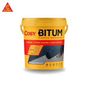 chong-tham-dang-long